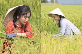 Project Runway Vietnam 2015: NTK Hải Yến "hoá thân" thôn nữ trên cánh đồng