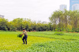 Làm rõ căn cứ thu hồi đất 