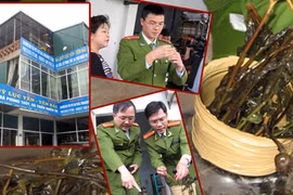 Hàng nghìn lít rượu ngâm cây thuốc phiện