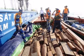 Cảnh sát biển bắt giữ tàu nước ngoài vận chuyển gỗ trái phép