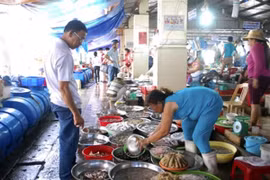 Tắm biển thoải mái, ăn hải sản phải chờ?