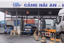 Sốc vì Hải Phòng thu phí cảng biển "quá nhanh, quá cao"