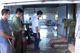 Cặp vợ chồng chủ trang trại lợn bị khởi tố