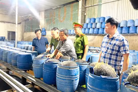 Phát hiện 2 cơ sở dùng hóa chất độc hại để sản xuất hàng trăm tấn giá đỗ