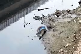 Phát hiện thi thể nổi trên sông Tô Lịch