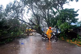 Philippines sơ tán hàng nghìn người do siêu bão Haima