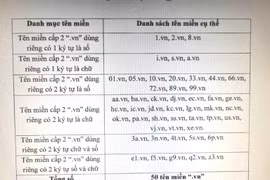 Sẽ đấu giá tên miền quốc gia “.vn”