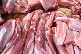 Thịt lợn hơi tăng gần 21.000 đồng/kg trong một năm qua