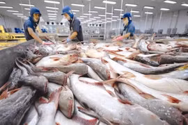 Xuất khẩu thủy sản tiếp tục giảm 28%