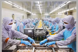 Doanh nghiệp phản ứng quy định áp trần chi phí lãi vay để tính thuế thu nhập