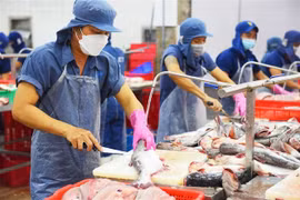Mỹ hoãn thuế đối ứng 90 ngày: Xuất khẩu cá tra có thêm cơ hội?