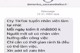 Giả mạo TikTok để lừa đảo