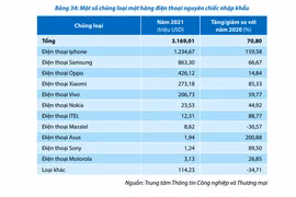 Người Việt chi hơn 1,2 tỷ USD để nhập khẩu iPhone