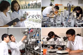 Thành lập Hội đồng quốc gia về Khoa học, Công nghệ và Đổi mới sáng tạo