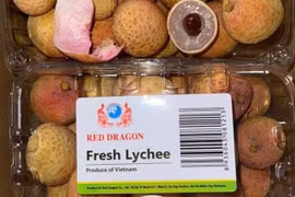 Vải thiều Việt Nam giá 120.000 đồng/kg tại Singapore