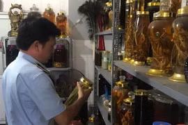 Hà Nội: Tạm giữ gần 650 lít rượu “trôi nổi”