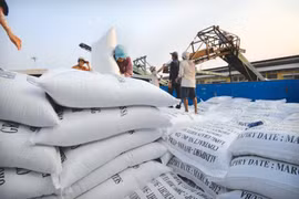 Giá gạo xuất khẩu giảm mạnh