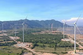 EVN muốn nhập điện gió từ Lào