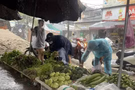 Rau xanh vẫn “đắt kinh khủng”