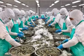 Xuất khẩu sang Hoa Kỳ, Trung Quốc: Doanh nghiệp Việt cần lưu ý gì?