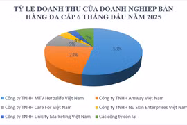 Doanh thu kinh doanh đa cấp giảm mạnh, nhiều vi phạm chuyển sang cơ quan Công an 