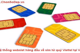 SIM chưa kích hoạt hết hạn sẽ bị thu hồi