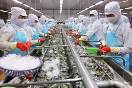 Làm sao để "vực dậy" xuất khẩu thủy sản?