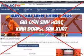 Giả mạo website gia tăng, nhận biết website tin cậy bằng cách nào?