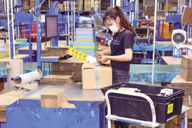 Năm 2025: 50% cơ sở đại học triển khai đào tạo thương mại điện tử 