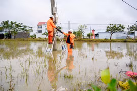 Cấp điện trở lại cho gần 96% khách hàng miền Trung - Tây Nguyên 