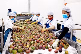 Bộ Công Thương “hãm phanh” xuất khẩu tiểu ngạch, đẩy mạnh tiêu thụ nông sản ở trong nước