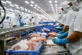 Xuất khẩu sang EU: Có thể thu về gấp 8 lần giá trị nếu sản xuất bền vững