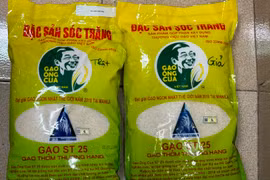 Tràn lan gạo ông Cua ST25 trên thị trường, làm thế nào biết gạo "xịn"?