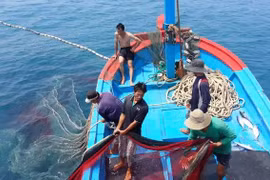 Đề xuất dùng ngân sách để bù giá xăng dầu cho ngư dân