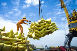 Thị trường lớn ngừng nhập khẩu gạo, hai Bộ họp bàn giải pháp 