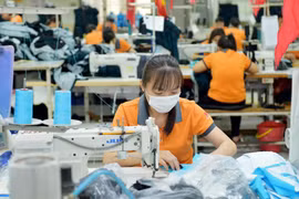 Doanh nghiệp Việt trượt nhiều đơn hàng dệt may, nông sản xuất khẩu, vì sao?
