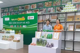 Huy động người Việt Nam ở nước ngoài tham gia giới thiệu, tiêu thụ sản phẩm