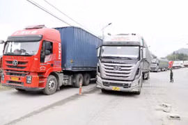 Thông quan hàng hóa của hơn 6.500 phương tiện trong dịp nghỉ lễ 30/4-1/5 