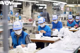 Một tháng EVFTA có hiệu lực: Xuất khẩu đạt 277 triệu USD