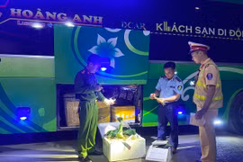 Xe khách đang chở củ sâm không rõ nguồn gốc đi tiêu thụ thì bị phát hiện