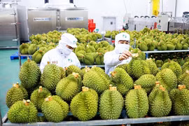 Không được để ùn tắc nông sản tại cửa khẩu