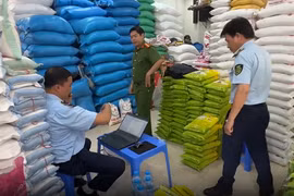 Phát hiện hàng loạt vụ việc kinh doanh gạo ST25 giả mạo nhãn hiệu tại Hà Nội