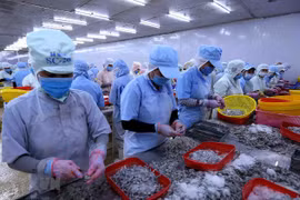 Quý IV/2020, xuất khẩu thủy sản có thể đạt 2,3 tỷ USD