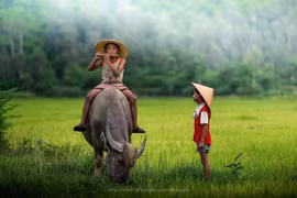 Đấu tranh, ngăn chặn, xử lý các hành vi lợi dụng không gian mạng xâm hại quyền con người, vi phạm pháp luật Việt Nam