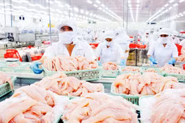 Bảy doanh nghiệp Việt Nam “thoát” thuế chống bán phá giá cá tra phile tại Mỹ