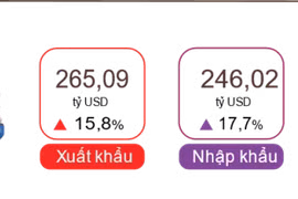 Xuất nhập khẩu kỳ vọng đạt 800 tỷ USD trong năm nay