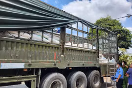 Liên tiếp phát hiện nhiều vụ vận chuyển đường tinh luyện nghi hàng lậu vào Việt Nam