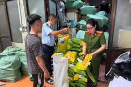 Hà Nội: Kinh doanh gạo ST25 giả nhãn hiệu, cửa hàng bị phạt tiền, buộc tiêu hủy bao bì vi phạm