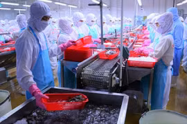 Việt Nam đã giảm điều kiện kinh doanh, tạo thuận lợi cho doanh nghiệp như thế nào?
