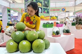 Giới thiệu đặc sản vùng miền Việt Nam tại Hà Nội